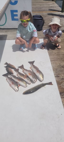 4hr bay fishing