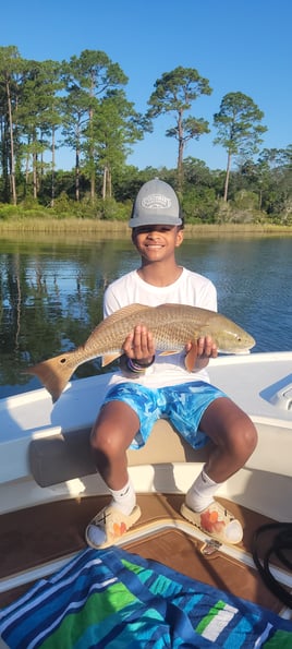 Redfish Fishing in Niceville, Florida