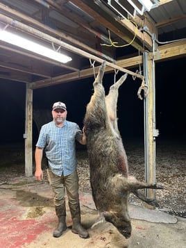 Hog Hunting in Okeechobee, Florida