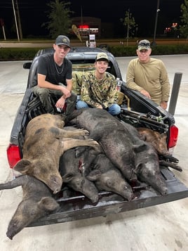 Hog Hunting in Okeechobee, Florida