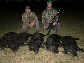 Hog Hunting in Okeechobee, Florida