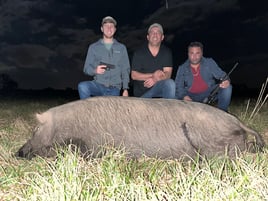 Hog Hunting in Okeechobee, Florida