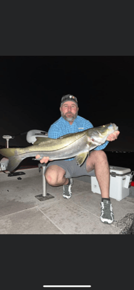 Snook Fishing in Okeechobee, Florida