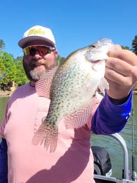 Crappie Fishing in Dadeville, Alabama