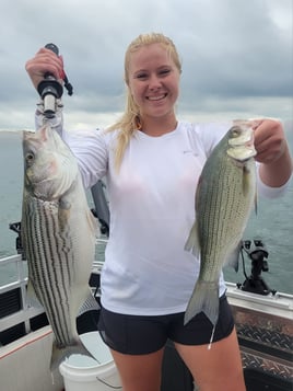 Hybrid Striped Bass, Striped Bass Fishing in Dadeville, Alabama