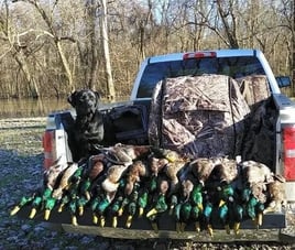 Guided Duck Hunt