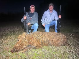 Oklahoma  Thermal Hog Hunt