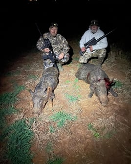 Oklahoma  Thermal Hog Hunt