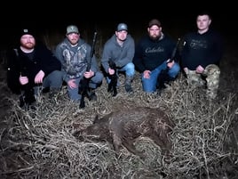 Oklahoma  Thermal Hog Hunt