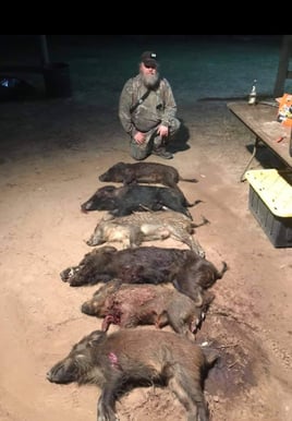 Hog Hunting in