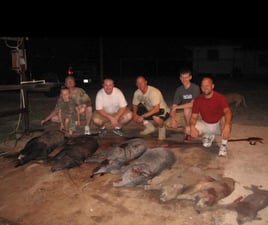 WILD HOG HUNT w/ lodging (2nights)