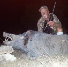 WILD HOG HUNT w/ lodging (2nights)