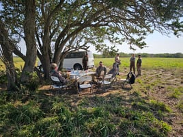 Dove Hunting