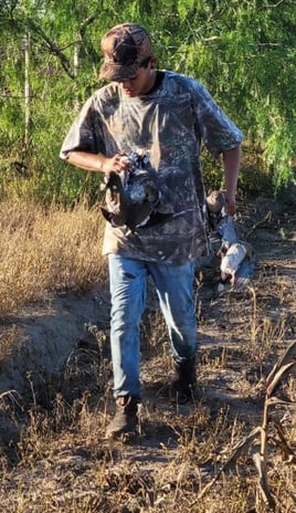 Dove Hunting