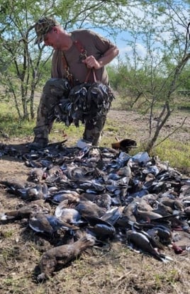 Dove Hunting