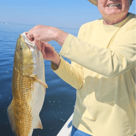 Redfish Fishing in Santa Rosa Beach, Florida