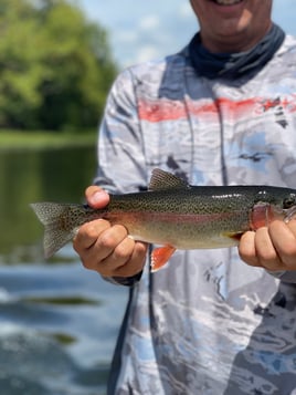 Rainbow Trout Fishing in Blaine, Tennessee