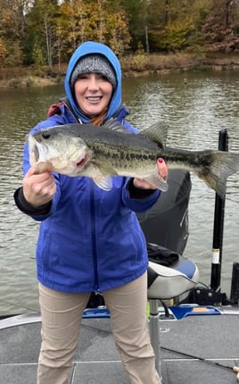 Lake Toledo bend