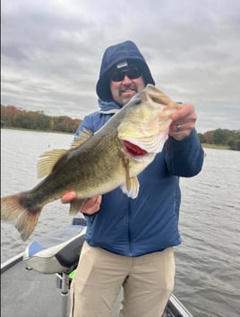 Lake Toledo bend