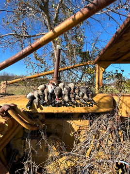 Central Texas Duck Hunts