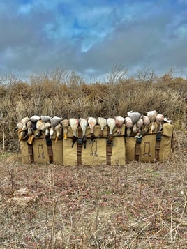 Central Texas Duck Hunts