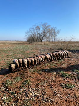 Premier TX Duck Hunt