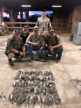 All inclusive 3 day Dove Hunt