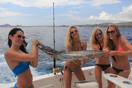 Cabo Luxury Fishing - 32' Luhrs