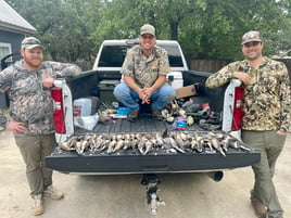 Dove Hunts