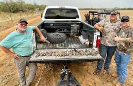 Dove Hunts