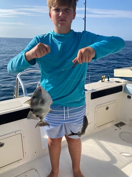 Triggerfish Fishing in St. Augustine, Florida