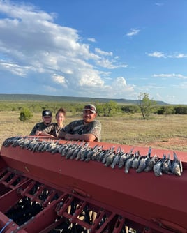 Abilene Dove Hunting