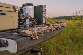 Abilene Dove Hunting