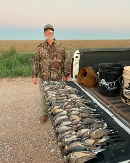 Abilene Dove Hunting