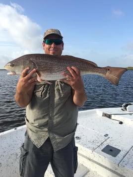 Redfish Fishing in Grand Isle, Louisiana