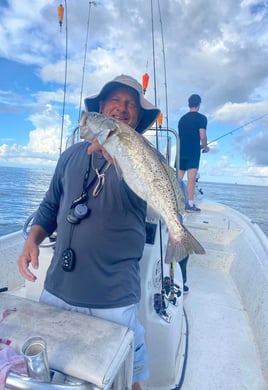 Speckled Trout Fishing in Grand Isle, Louisiana