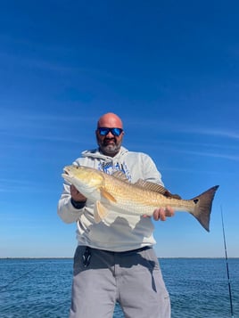 Redfish Fishing in Grand Isle, Louisiana