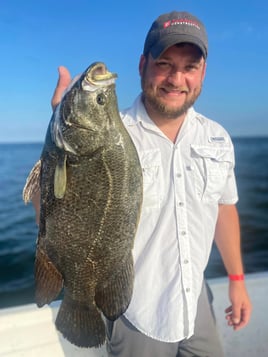 Tripletail Fishing in Grand Isle, Louisiana