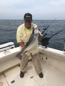 St. Claire River Salmon Trip