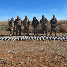 Sandhill Crane Hunt