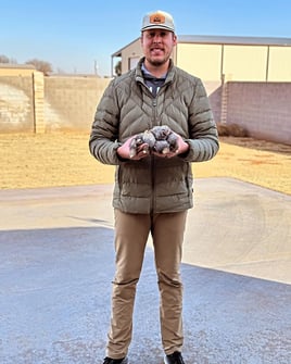 West Texas Quail Hunting