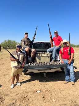 Dove Hunting