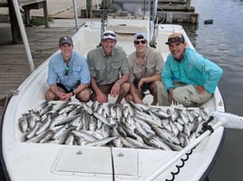 Shrimp Trawling Adventure