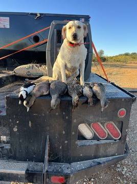 Waterfowl Hunting