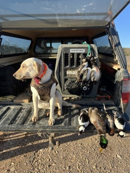 Waterfowl Hunting