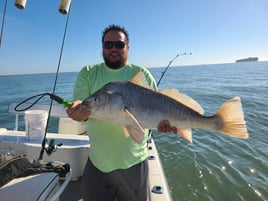 Bay Fishing  - Sharks & Drum