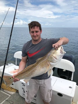 Bay Fishing  - Sharks & Drum