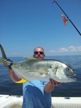 Bay Fishing  - Sharks & Drum