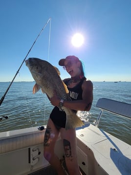 Bay Fishing  - Sharks & Drum