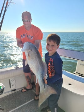 Bay Fishing  - Sharks & Drum